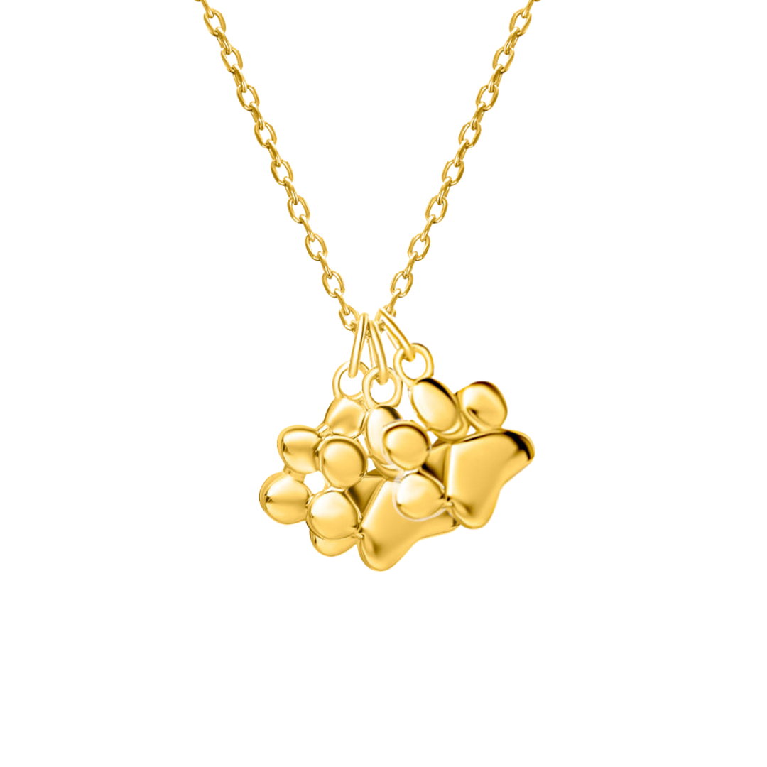 Limited : Teeny Tiny Triple Paw Necklace